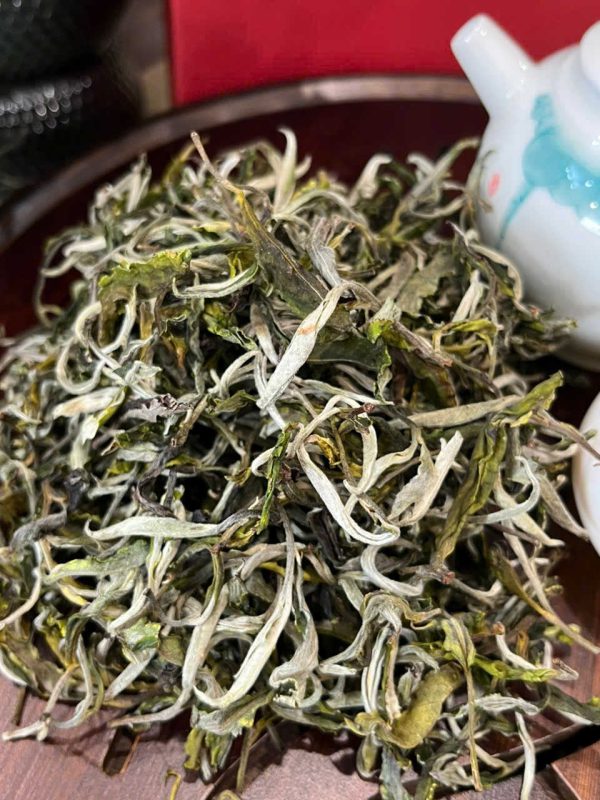 Oolong Shan Tuyết