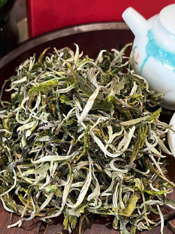 Oolong Shan Tuyết